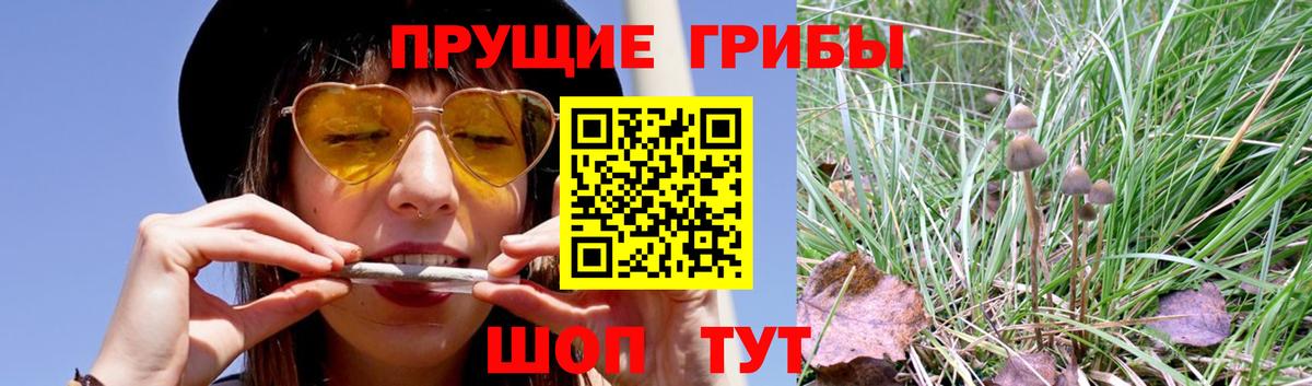 Псилоцибиновые грибы Magic Shrooms Медногорск