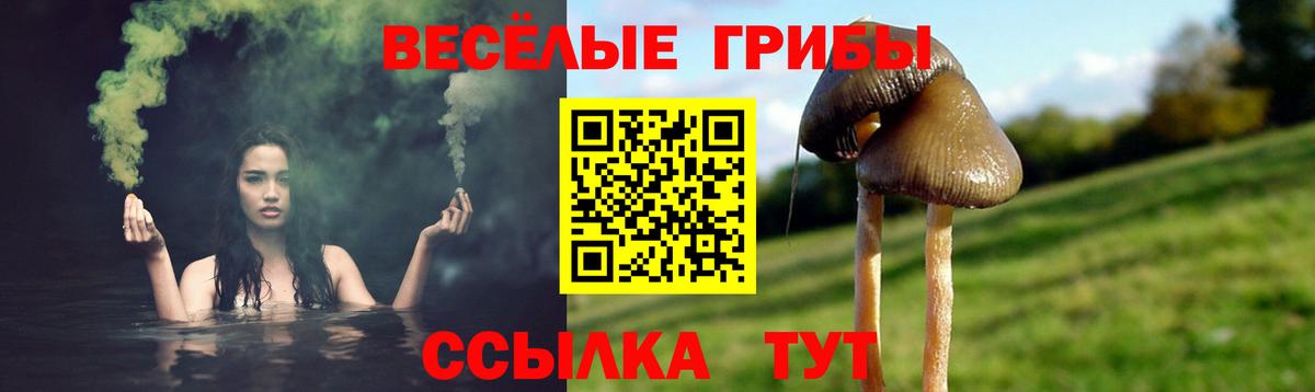 Псилоцибиновые грибы GOLDEN TEACHER  купить закладку  Вход с VPN  Медногорск  Псилоцибиновые грибы MAGIC MUSHROOMS 